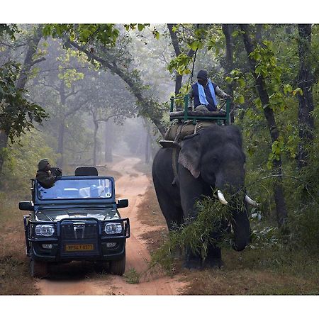 Samode Safari Lodge Parasi Экстерьер фото