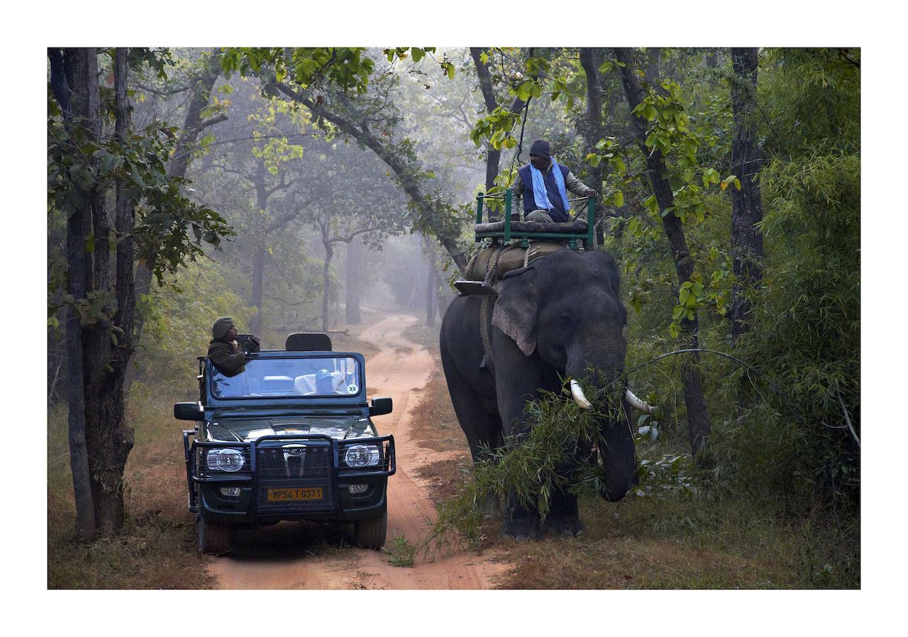 Samode Safari Lodge Parasi Экстерьер фото