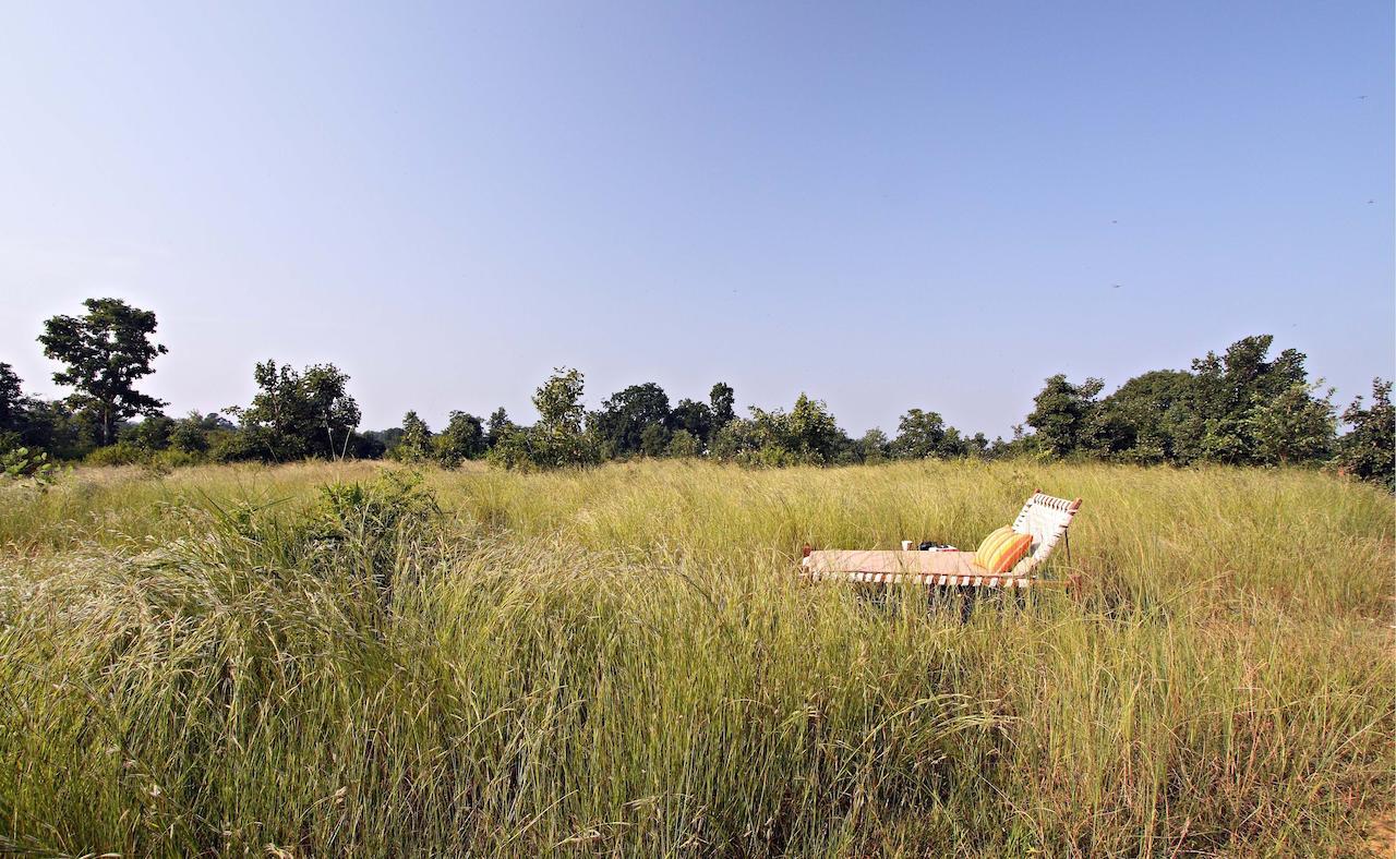 Samode Safari Lodge Parasi Экстерьер фото