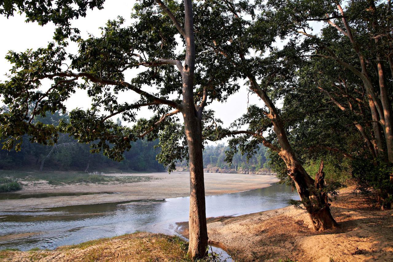 Samode Safari Lodge Parasi Экстерьер фото